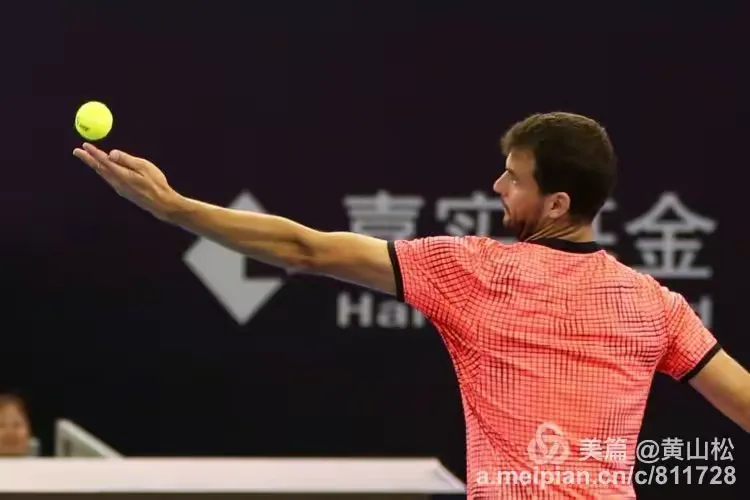 -穆雷在中国队比赛中赛事规则更新，连败引发热议！的简单介绍